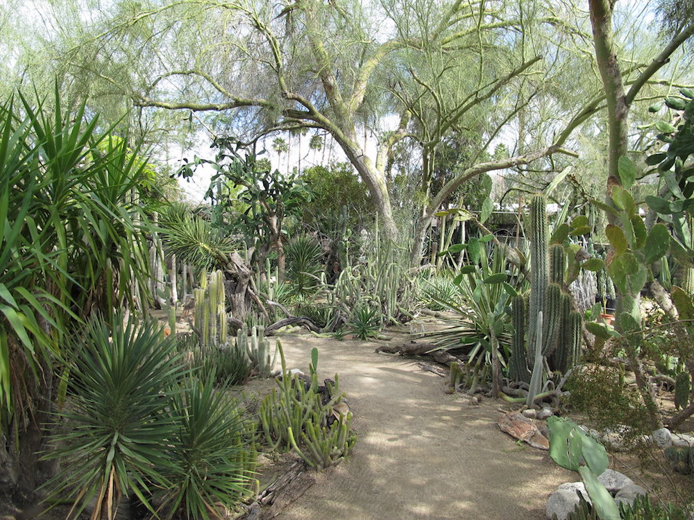 Moorten Botanical Garden Palm Springs California